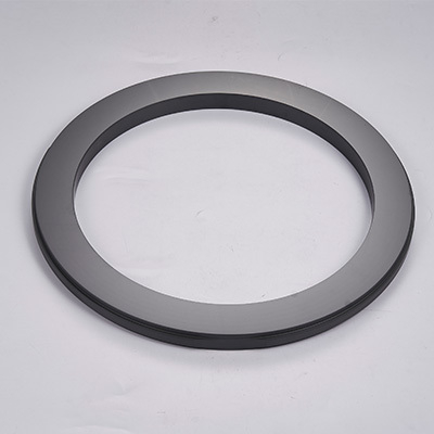 Dry gas seal ring
